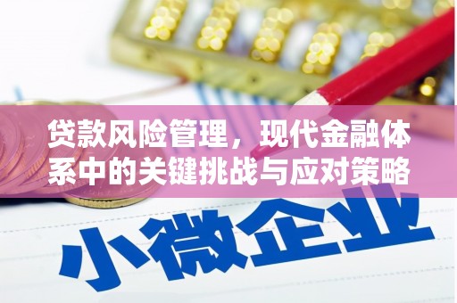 和顺贷款风险管理，现代金融体系中的关键挑战与应对策略