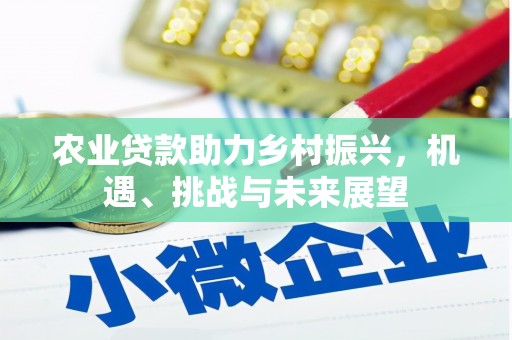和顺农业贷款助力乡村振兴，机遇、挑战与未来展望