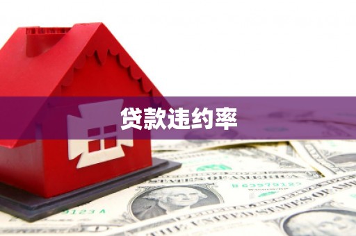 和顺贷款违约率