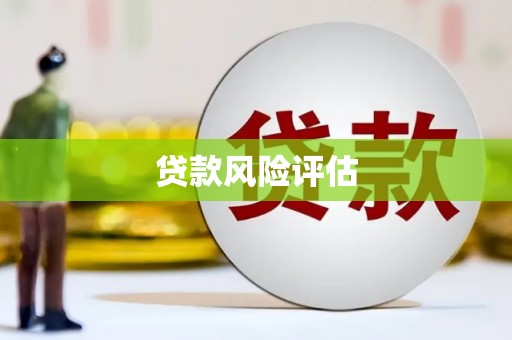 和顺贷款风险评估