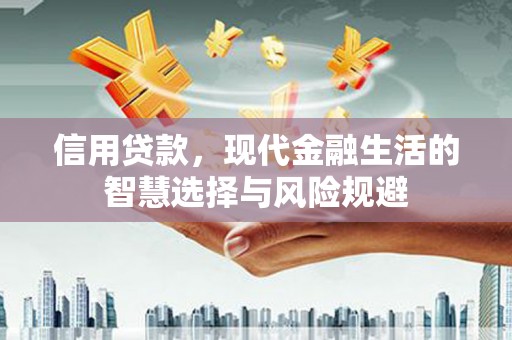 和顺信用贷款，现代金融生活的智慧选择与风险规避