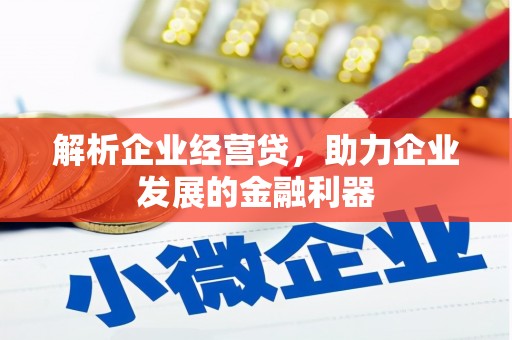和顺解析企业经营贷，助力企业发展的金融利器