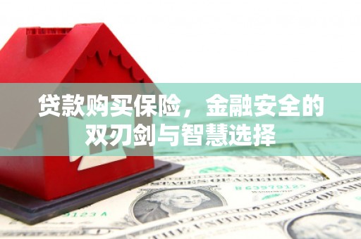 和顺贷款购买保险，金融安全的双刃剑与智慧选择