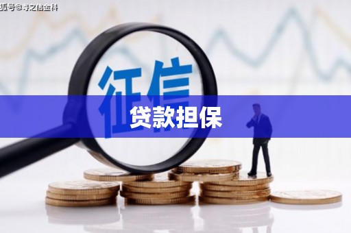 和顺贷款担保