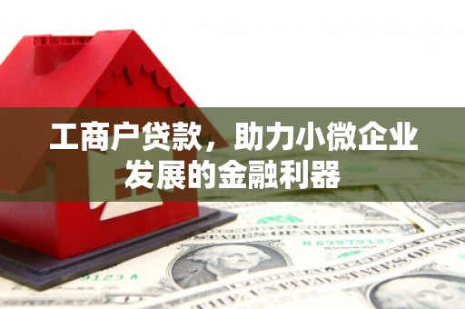 和顺工商户贷款，助力小微企业发展的金融利器