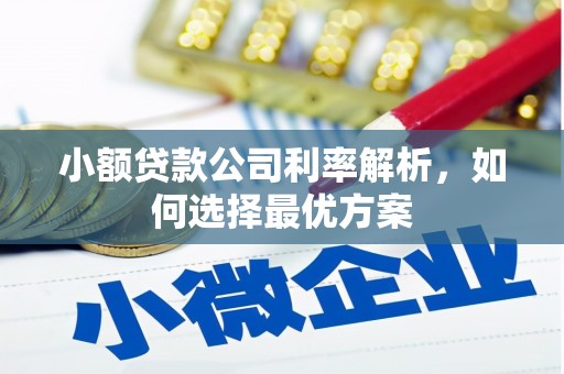 和顺小额贷款公司利率解析，如何选择最优方案