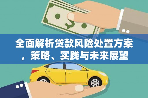 和顺全面解析贷款风险处置方案，策略、实践与未来展望