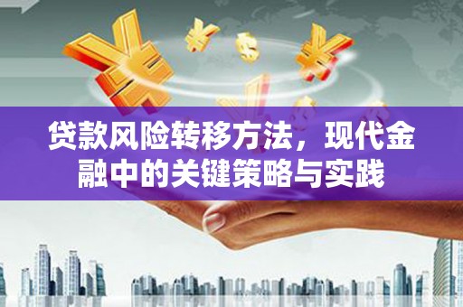 和顺贷款风险转移方法，现代金融中的关键策略与实践