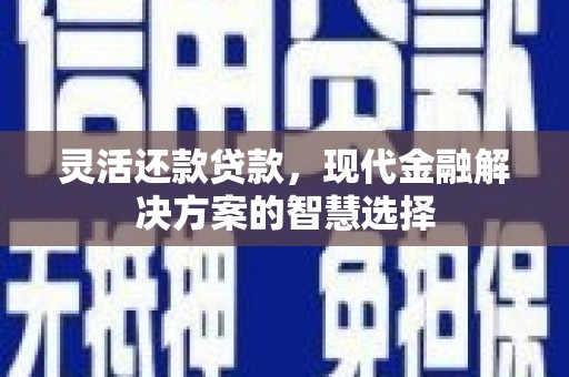 和顺灵活还款贷款，现代金融解决方案的智慧选择