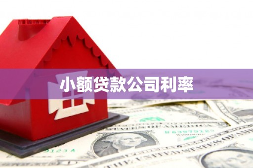 和顺小额贷款公司利率