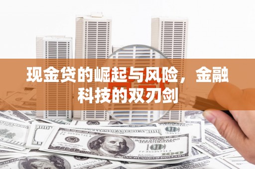 和顺现金贷的崛起与风险，金融科技的双刃剑