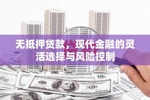 和顺无抵押贷款，现代金融的灵活选择与风险控制