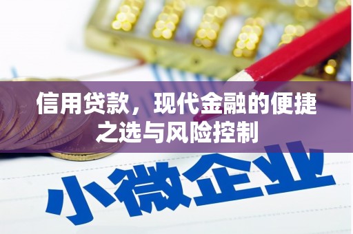 和顺信用贷款，现代金融的便捷之选与风险控制