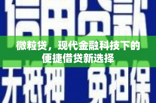和顺微粒贷，现代金融科技下的便捷借贷新选择