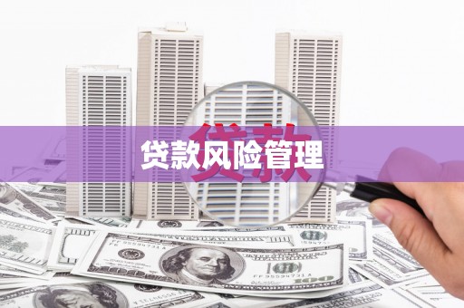 和顺贷款风险管理