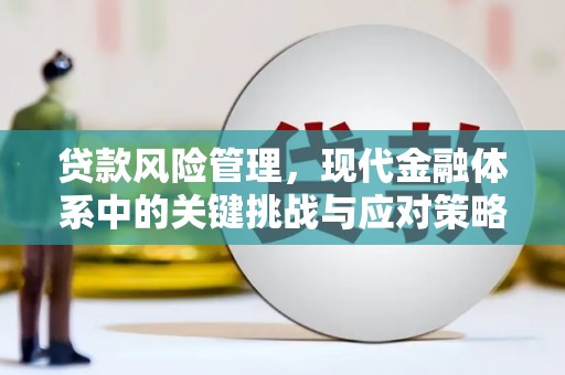 和顺贷款风险管理，现代金融体系中的关键挑战与应对策略
