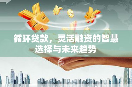 和顺循环贷款，灵活融资的智慧选择与未来趋势