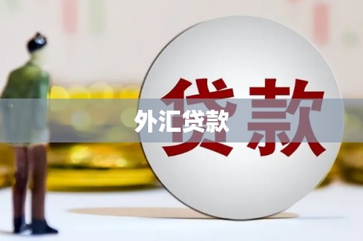 和顺外汇贷款