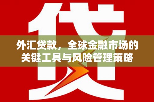 和顺外汇贷款，全球金融市场的关键工具与风险管理策略