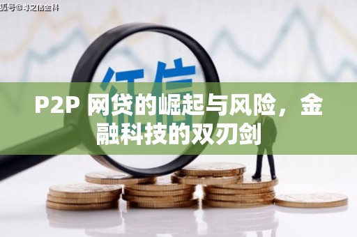和顺P2P 网贷的崛起与风险，金融科技的双刃剑