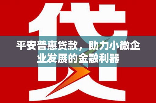 和顺平安普惠贷款，助力小微企业发展的金融利器