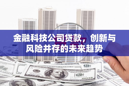 和顺金融科技公司贷款，创新与风险并存的未来趋势