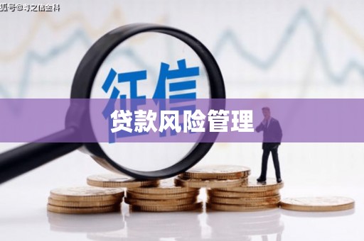 和顺贷款风险管理