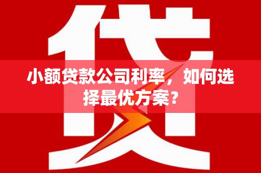 和顺小额贷款公司利率，如何选择最优方案？