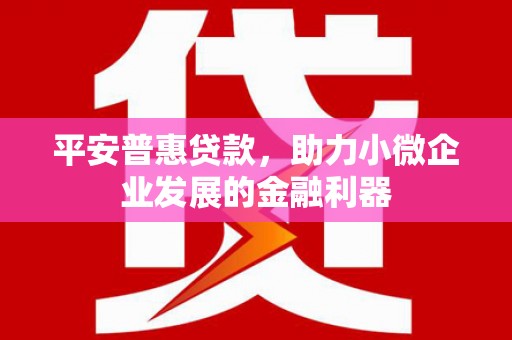 和顺平安普惠贷款，助力小微企业发展的金融利器