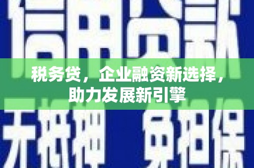 和顺税务贷，企业融资新选择，助力发展新引擎