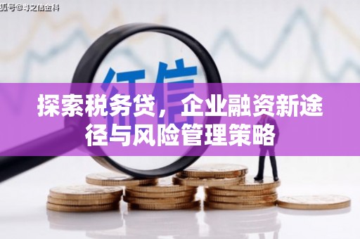 和顺探索税务贷，企业融资新途径与风险管理策略