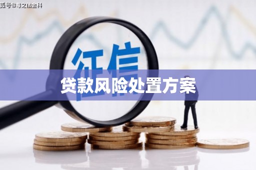 和顺贷款风险处置方案