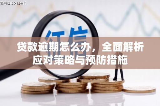和顺贷款逾期怎么办，全面解析应对策略与预防措施