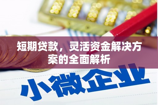 和顺短期贷款，灵活资金解决方案的全面解析