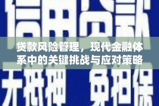 和顺贷款风险管理，现代金融体系中的关键挑战与应对策略