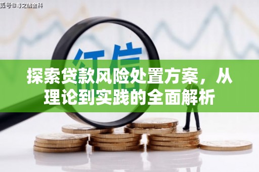 和顺探索贷款风险处置方案，从理论到实践的全面解析