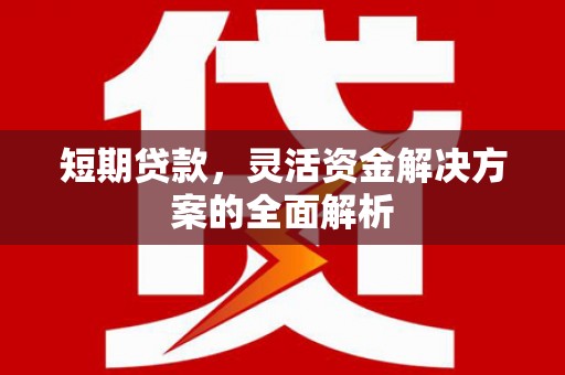 和顺短期贷款，灵活资金解决方案的全面解析