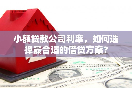和顺小额贷款公司利率，如何选择最合适的借贷方案？