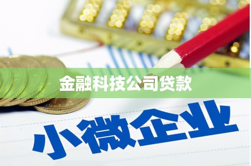 和顺金融科技公司贷款