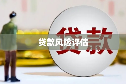 和顺贷款风险评估