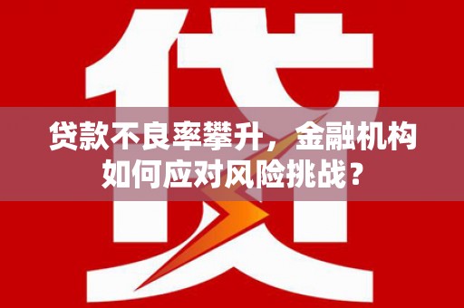 和顺贷款不良率攀升，金融机构如何应对风险挑战？