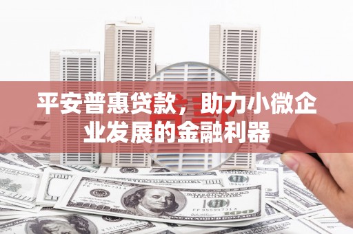 和顺平安普惠贷款，助力小微企业发展的金融利器