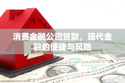 和顺消费金融公司贷款，现代金融的便捷与风险