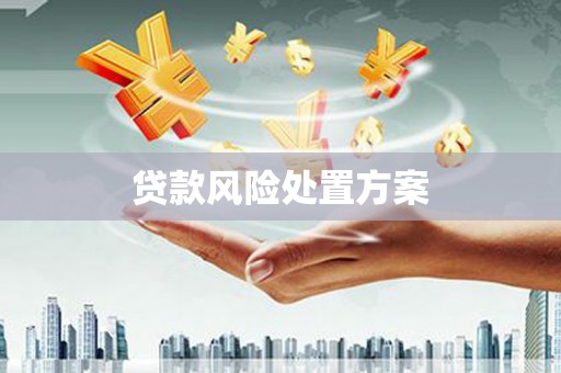 和顺贷款风险处置方案