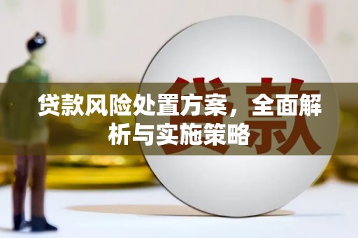 和顺贷款风险处置方案，全面解析与实施策略