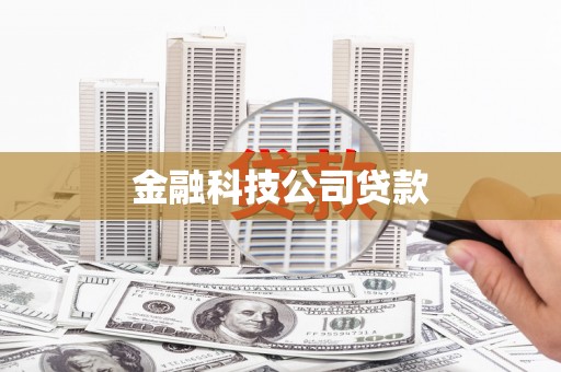 和顺金融科技公司贷款