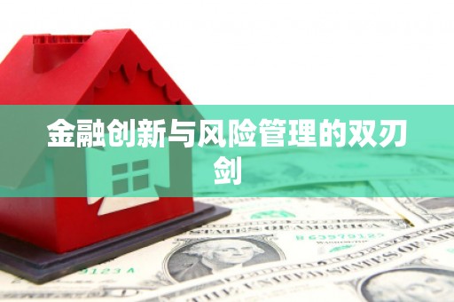 和顺金融创新与风险管理的双刃剑
