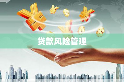 和顺贷款风险管理